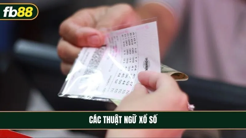 Các thuật ngữ thường gặp trong xổ số và cách hiểu đúng