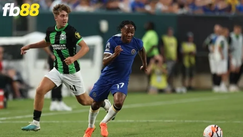 Giải mã bảng kèo: Đọc vị tỷ lệ như một chuyên gia