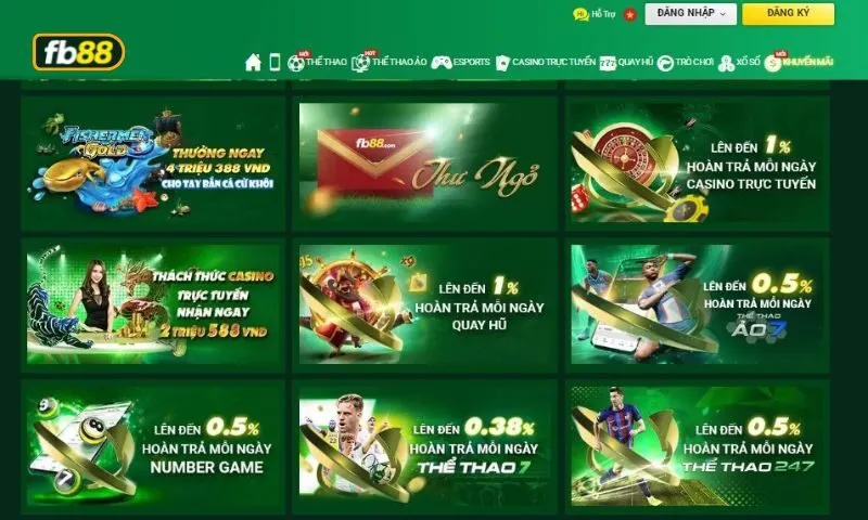 Ưu đãi cập nhật liên lục