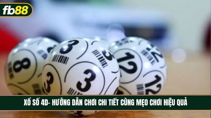Xổ Số 4D - Hướng dẫn chơi số chi tiết cùng mẹo chơi hiệu quả